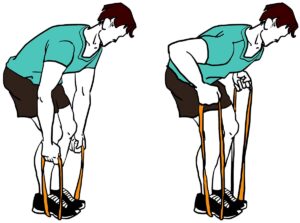 Bent Over Row - back workout with a resistance band