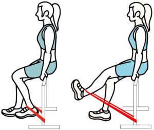 Leg Extension exercise 