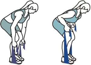 Bent over row back and shoulder exercise