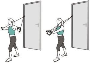 Chest Fly Resistance Exercise