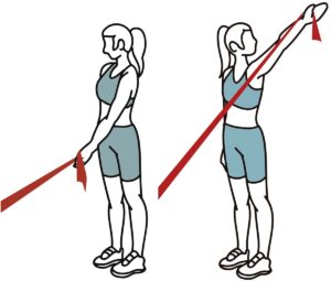 Diagonal Shoulder Flexion