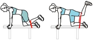Glute Kickback with Bench