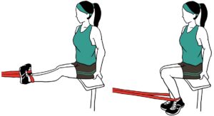 Seated Hamstring Curl with Resistance Band